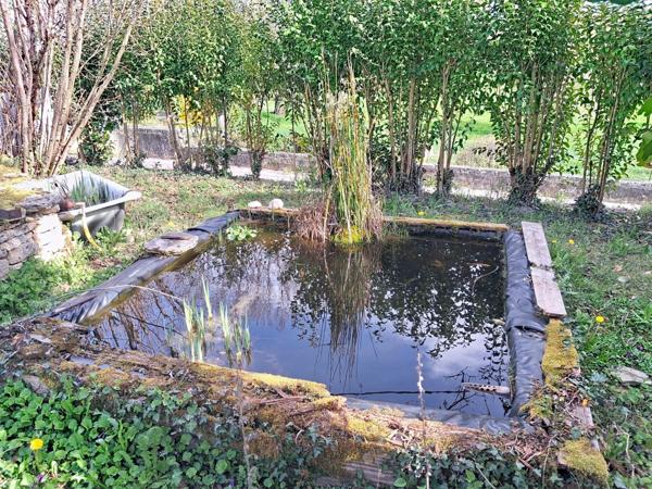 Belle maison en pierre, salon lumineux et jardin arboré