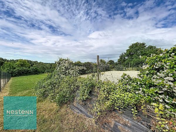 Maison traditionnelle 6 pièces à vendre à Chissay en Touraine - Exclusivité Nestenn Bléré