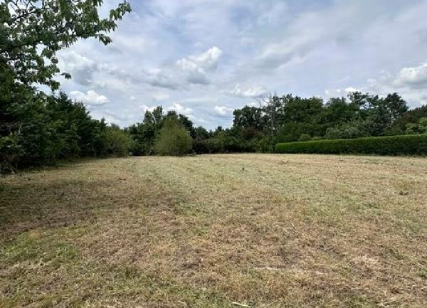 Terrain à vendre    2 445 m2 Fleurance