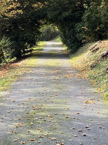 À vendre - Maison de maître, 12 pièces situé à Montoire-sur-le-Loir (41800)