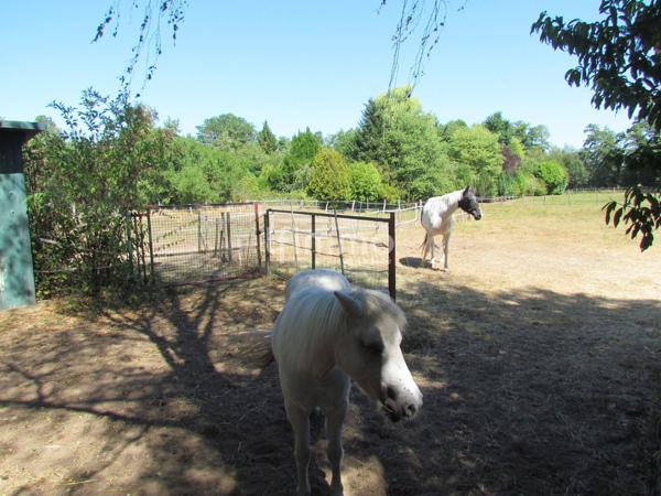 Maison avec dépendances, sur environ 16 ares