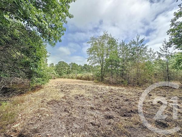 Maison à vendre  14 pièces - 344 m2 SOUESMES - 41