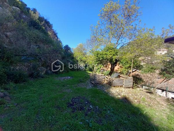 Charmante maison vigneronne rénovée avec vue exceptionnelle sur la vallée de l'Hérault!

Actuellement, cette maison profite d'un revenu locatif d'environ 800 euros. Un garage de 45 m² est présent ainsi qu'un local commercial avec point d'eau et WC.

À l’étage, découvrez un espace de vie lumineux et spacieux, comprenant un salon immense  et une cuisine entièrement équipée, ouverte sur un agréable jardin terrasse sans aucun vis-a-vis . 

Le jardin est vaste et ensoleillé d'une belle superficie original dans son aménagement.

Côté nuit, la maison propose 5 TRES grandes chambres, dont une suite parentale et une deuxième salle d'eau.

Coté rangement il y a de quoi faire en plus d une pièce indépendante qui fait office de buanderie..

 Atout majeur : possibilité de générer jusqu’à 800 € de revenus locatifs grâce au garage et au bureau — un vrai plus pour alléger votre crédit !

 Un bien au charme unique et au fort potentiel, idéal pour une famille ou un investissement malin.

En plus de combles aménageable d'une superficie avoisinent les 150M²;

📞 Ne tardez pas, contactez-moi pour une visite.
