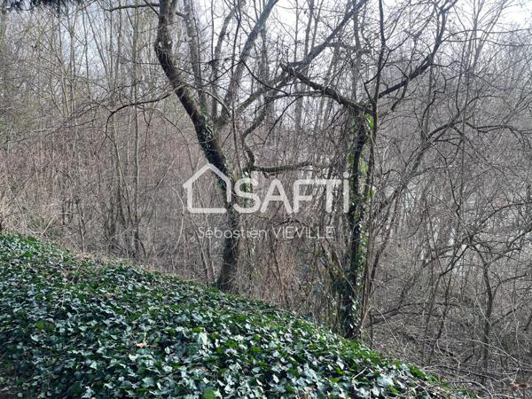 Terrain en bordure de MARNE