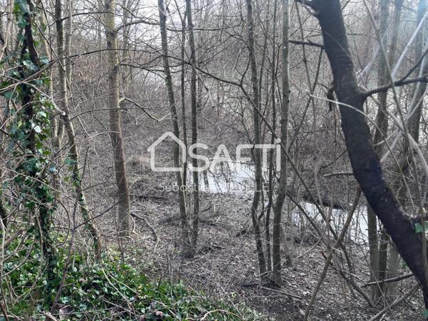 Terrain en bordure de MARNE