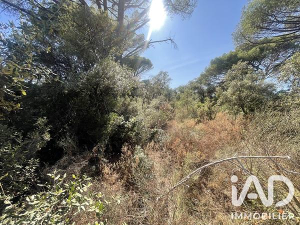 Terrain à vendre 25 105 m² Le Cannet-des-Maures