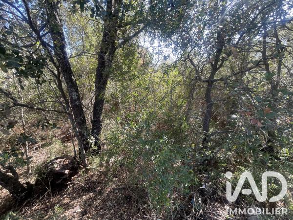 Terrain à vendre 25 105 m² Le Cannet-des-Maures