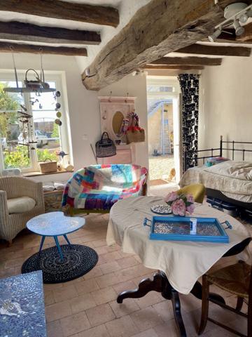 Langeais (37130) Propriété COTEAUX-SUR-LOIRE