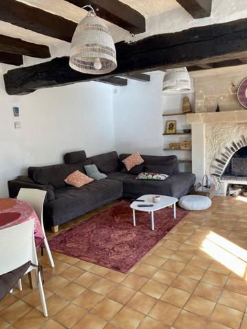 Langeais (37130) Propriété COTEAUX-SUR-LOIRE