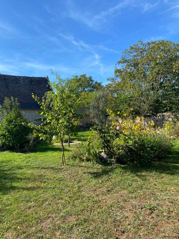 Langeais (37130) Propriété COTEAUX-SUR-LOIRE