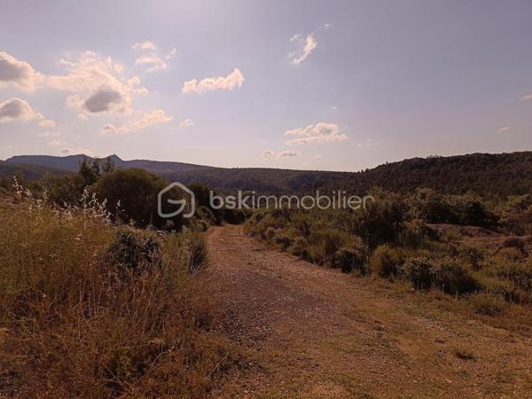 Terrain agricole de 2 420 m²