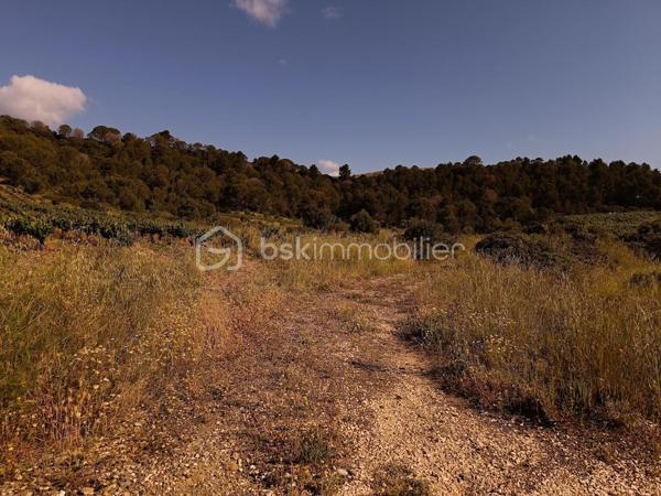 Terrain agricole de 2 420 m²