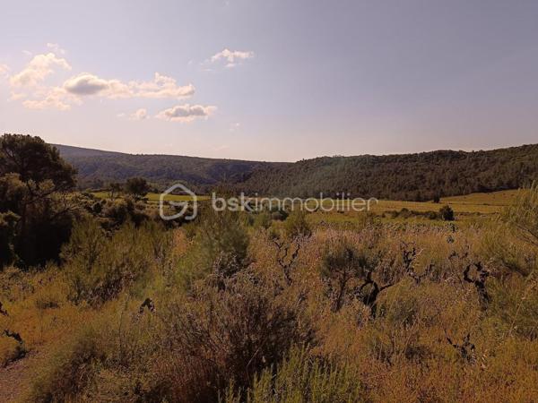 Terrain agricole de 2 420 m²