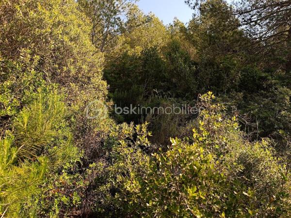 Terrain agricole de 2 420 m²