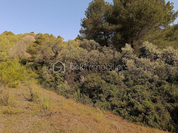 Terrain agricole de 2 420 m²