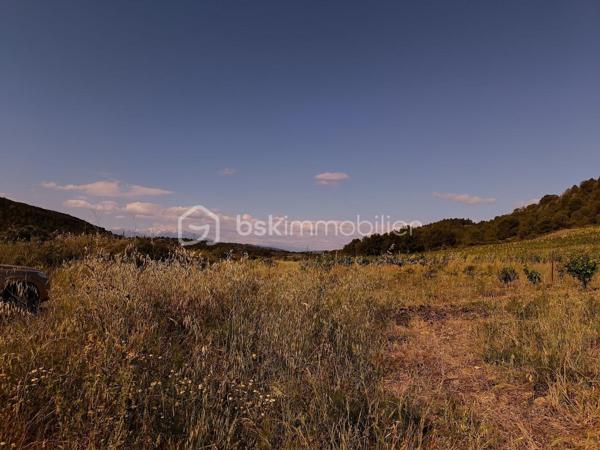 Terrain agricole de 2 420 m²