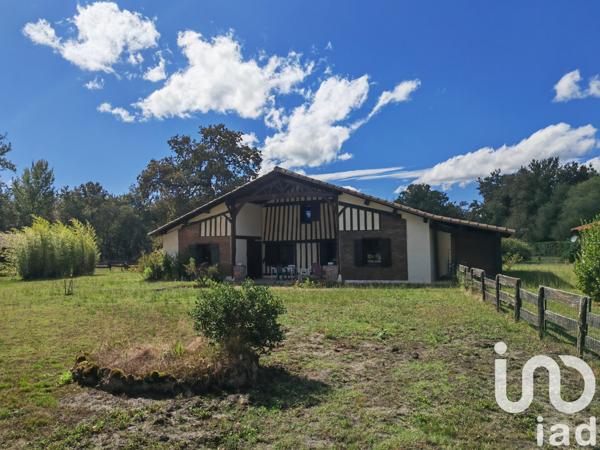 Maison à vendre 6 pièces 245 m² Luxey