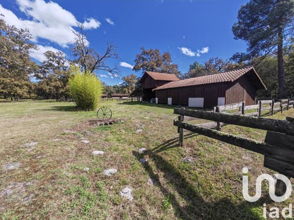 Maison à vendre 6 pièces 245 m² Luxey