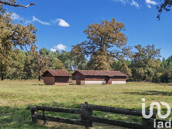 Maison à vendre 6 pièces 245 m² Luxey