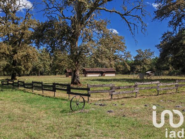 Maison à vendre 6 pièces 245 m² Luxey