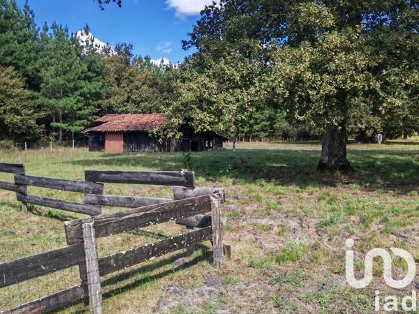 Maison à vendre 6 pièces 245 m² Luxey