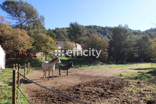 Maison 8 pièces - 238 m² Exclusivité efficity