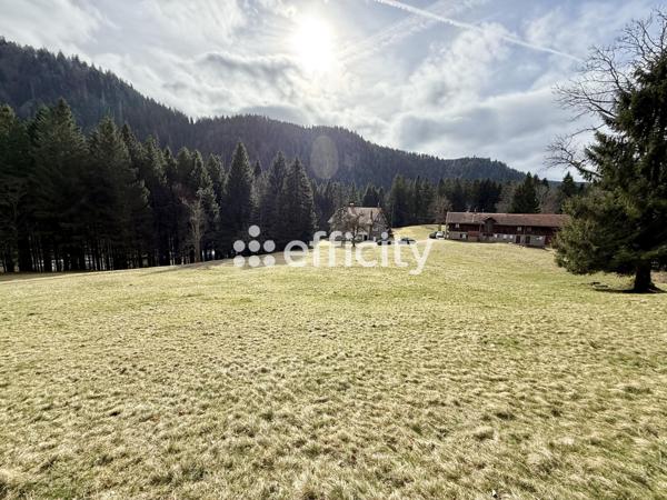 Maison 20 pièces - 500 m² Bien prestige