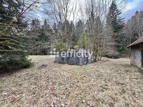 Maison 20 pièces - 500 m² Bien prestige