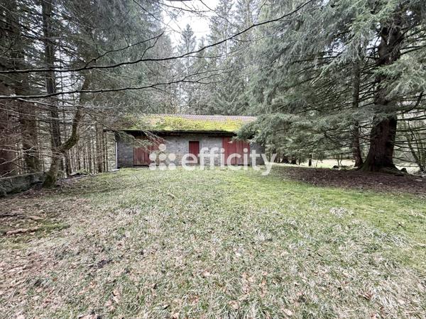 Maison 20 pièces - 500 m² Bien prestige