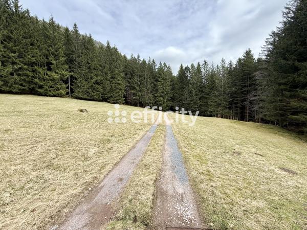 Maison 20 pièces - 500 m² Bien prestige