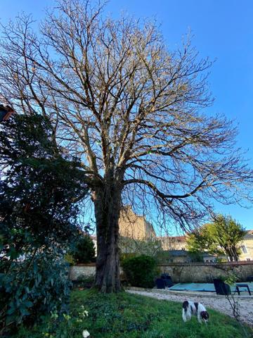 POITIERS, quartier Chilvert, Maison de charme avec dépendance, garage double, T2 loué et Piscine