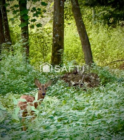 RARE SUR LE SECTEUR, Cottage meublé dans domaine classé