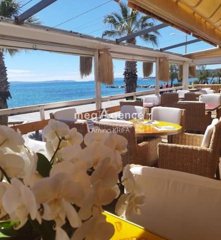 Local Commercial à LE LAVANDOU, 83980 - 9 pièces 600m²