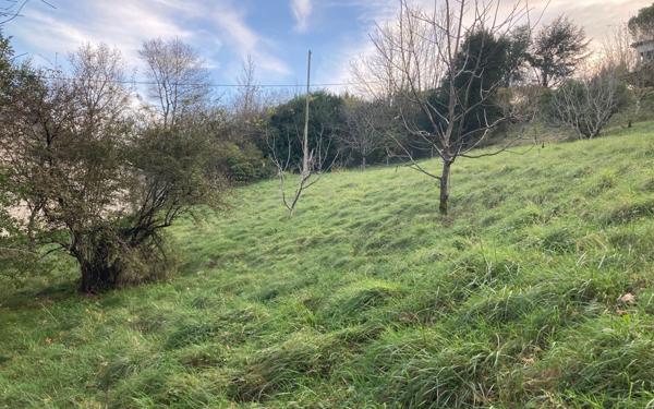 Terrain à vendre    Castres