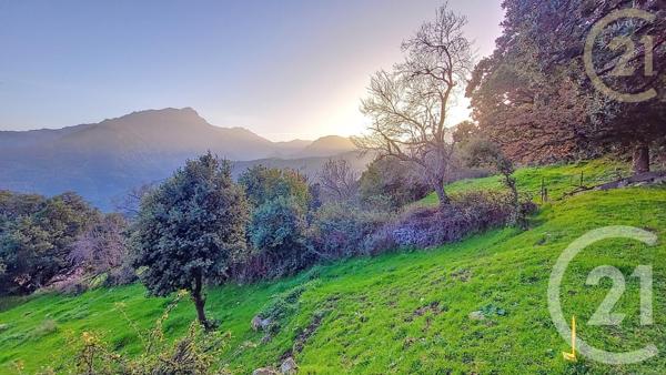 Terrain à vendre  1819 m2 OLMI CAPPELLA - 202