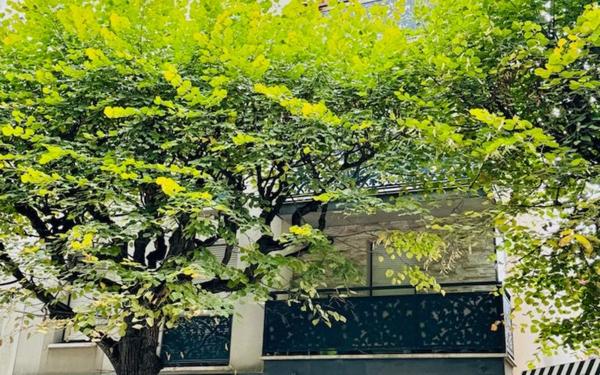 Appartement à vendre    1 pièce • 23 m2 Villemomble