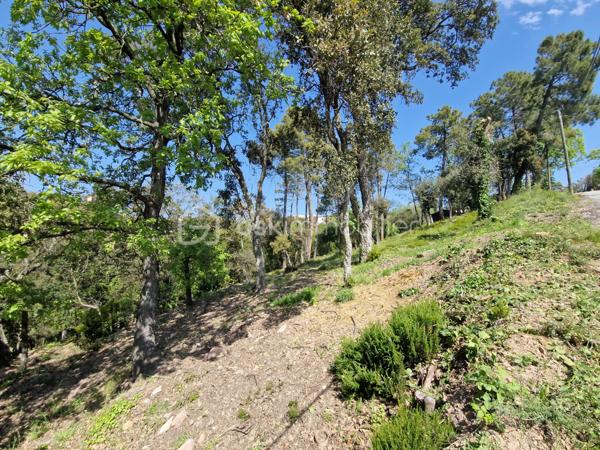 Terrain de 5 909 m²