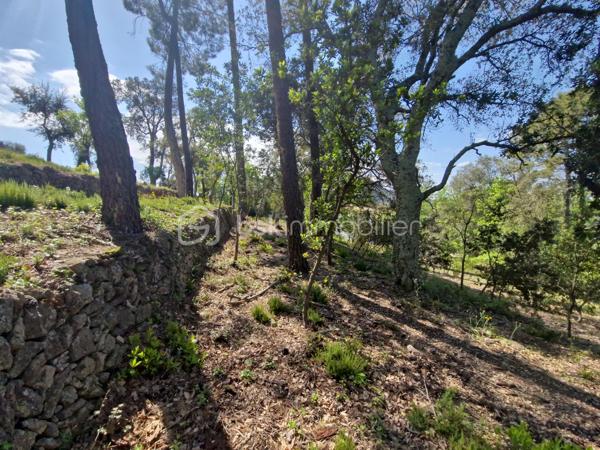 Terrain de 5 909 m²