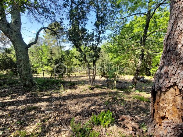 Terrain de 5 909 m²