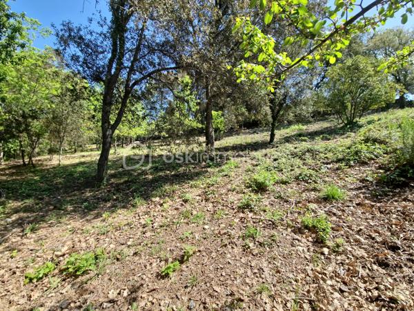 Terrain de 5 909 m²