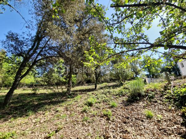 Terrain de 5 909 m²