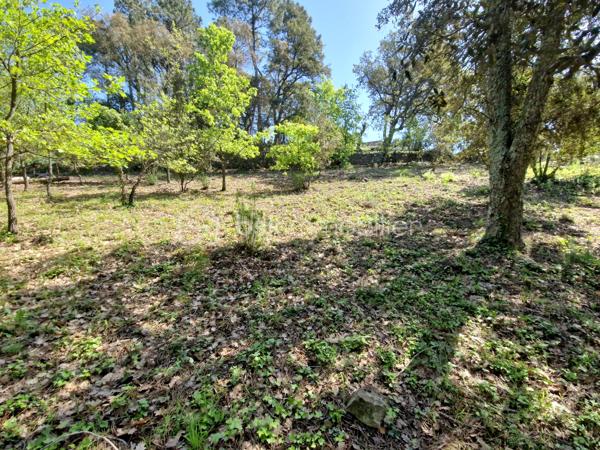 Terrain de 5 909 m²