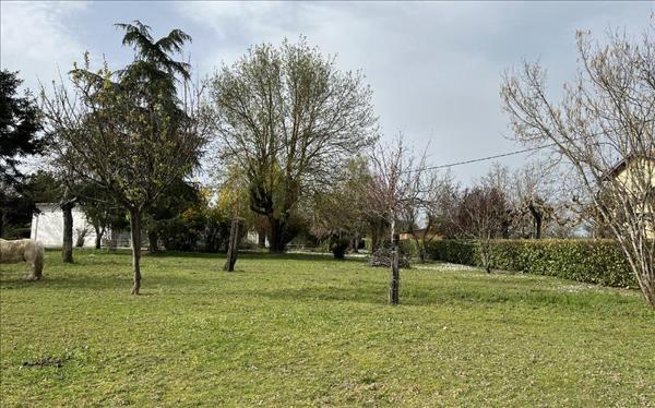 Terrain à vendre |  Gaillac |  700 m²