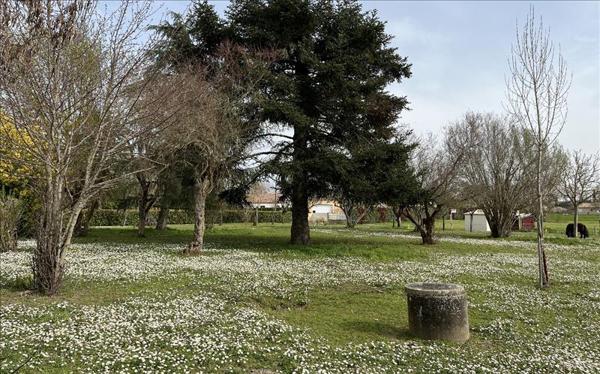 Terrain à vendre |  Gaillac |  700 m²
