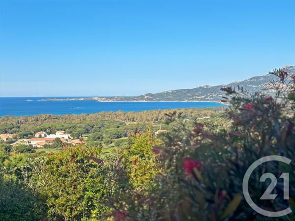 Maison à vendre  20 pièces - 502 m2 CALVI - 202