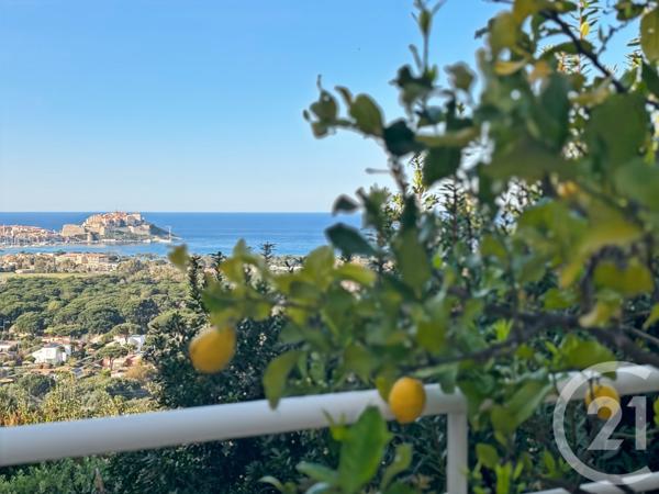 Maison à vendre  20 pièces - 502 m2 CALVI - 202