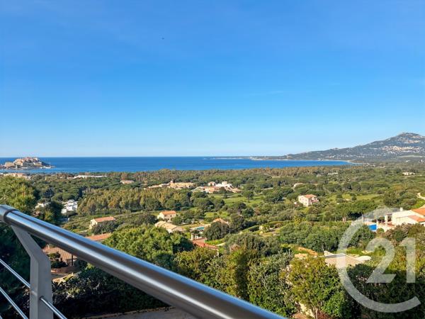Maison à vendre  20 pièces - 502 m2 CALVI - 202