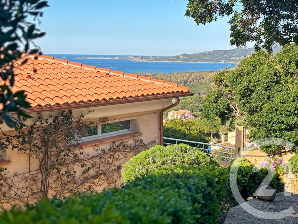 Maison à vendre  20 pièces - 502 m2 CALVI - 202