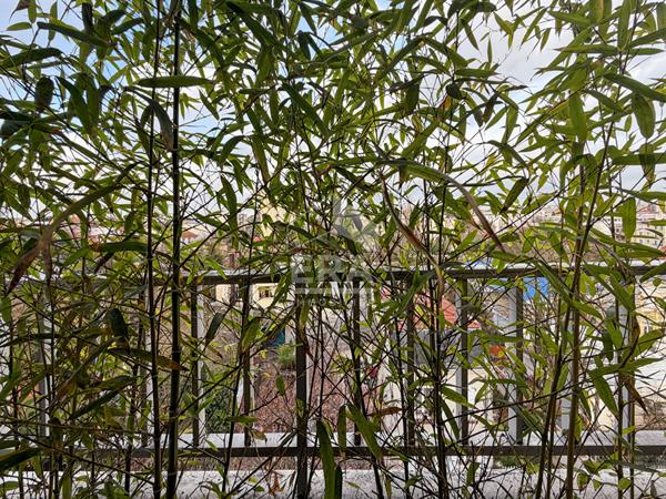 Appartement Montreuil 3 pièce(s) 65.57 m2 avec balcon, cave et parking