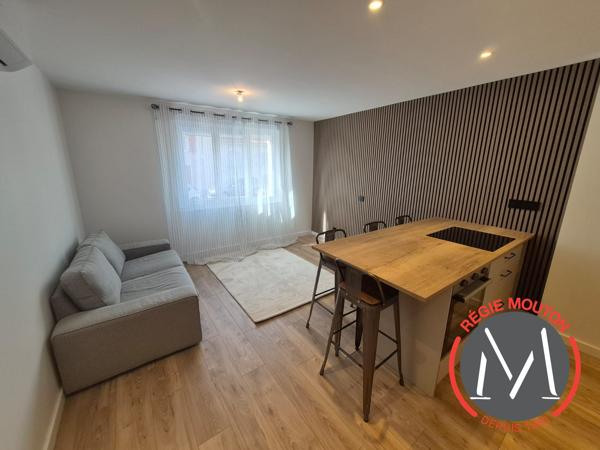 Bel appartement T3 entièrement rénové